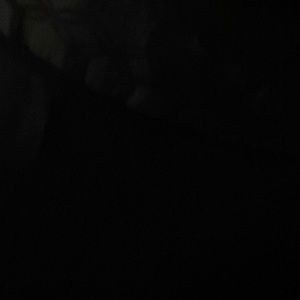 Meet your Posher, Ana